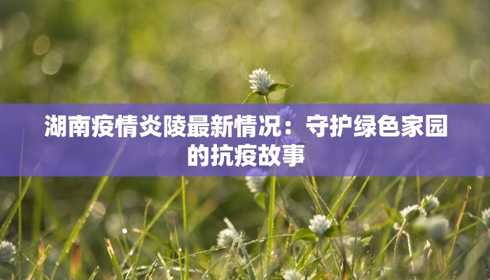 滨州地区疫情最新情况