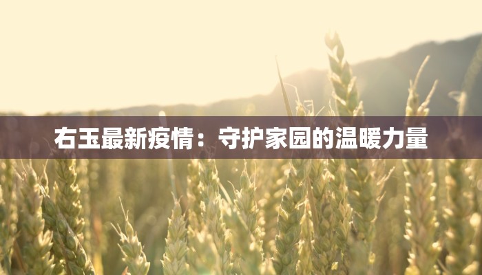 右玉最新疫情：守护家园的温暖力量
