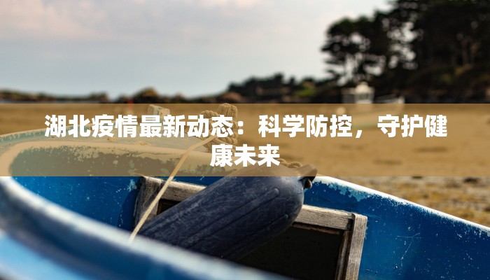 湖北疫情最新动态：科学防控，守护健康未来