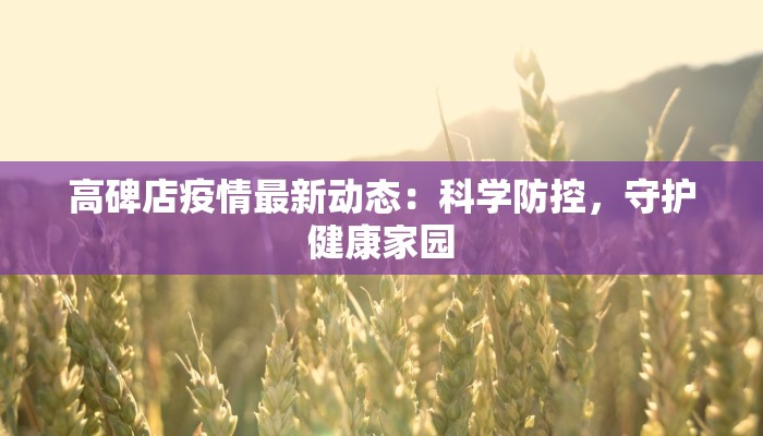高碑店疫情最新动态：科学防控，守护健康家园