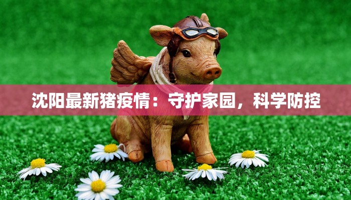 沈阳最新猪疫情：守护家园，科学防控