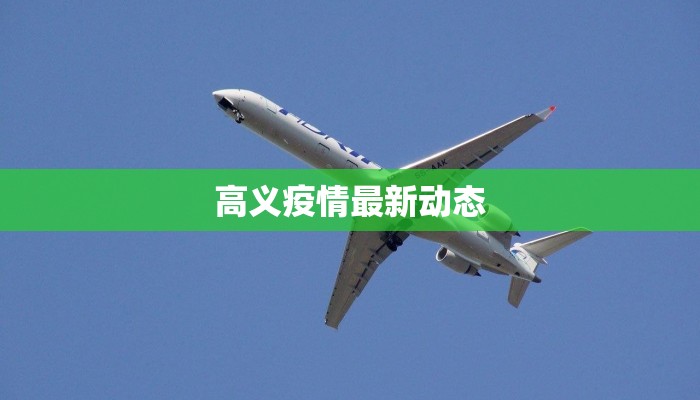 高义疫情最新动态