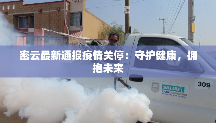 潍坊疫情最新结果：科学防控下的城市韧性与希望之光