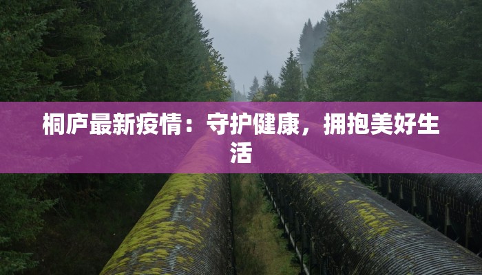桐庐最新疫情：守护健康，拥抱美好生活