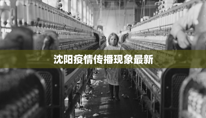 沈阳疫情传播现象最新