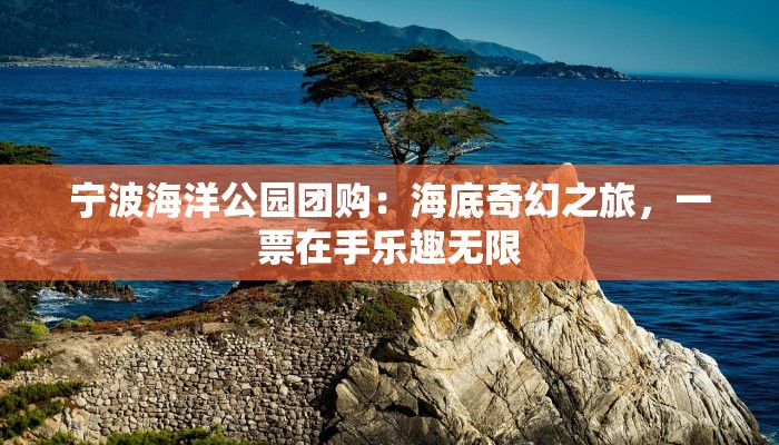 宁波海洋公园团购：海底奇幻之旅，一票在手乐趣无限