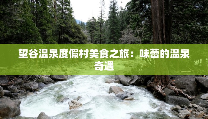 望谷温泉度假村美食之旅：味蕾的温泉奇遇