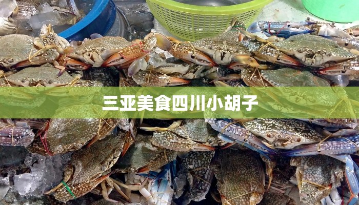 三亚美食四川小胡子