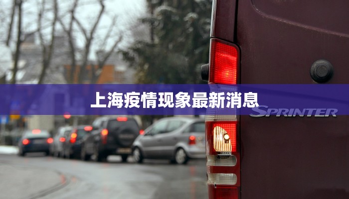 临清今日最新疫情