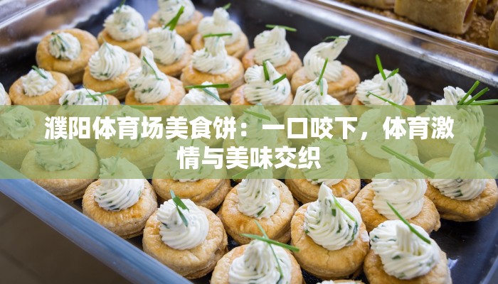 濮阳体育场美食饼：一口咬下，体育激情与美味交织