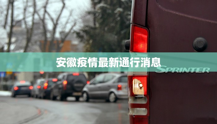 团购达人开橱窗影响